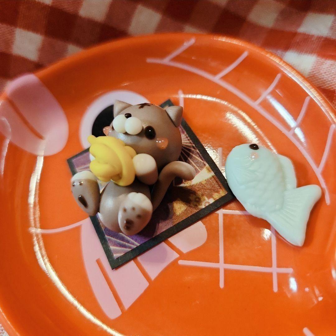 毛糸でじゃれてる♪虎猫ちゃん