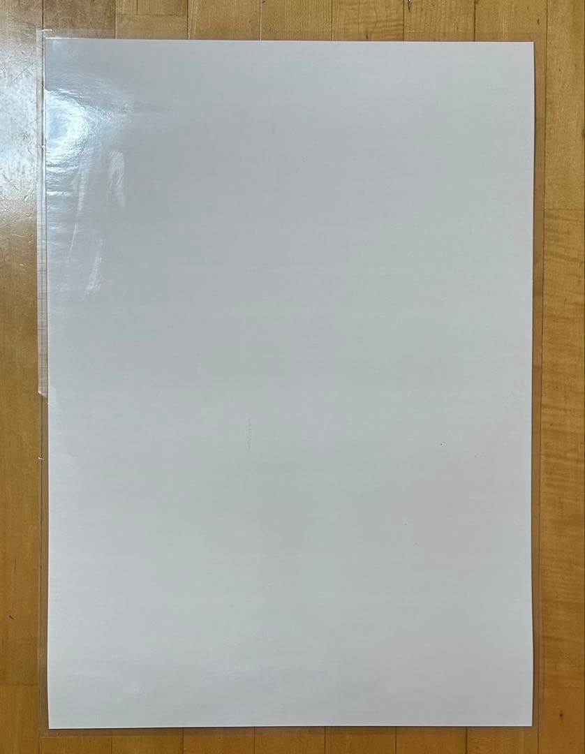 【非売品】エヴァンゲリヲン:/新劇場版/破 B2ポスター/ラミネート加工