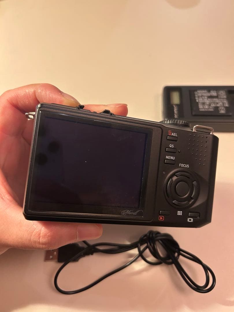 SIGMA DP2Merrill 美品