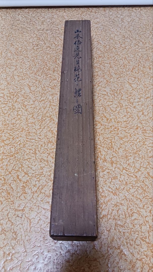 掛軸　肉筆　山本梅逸　梅花ニ鯉之図　絹本着色　箱書きあり　古美術　骨董