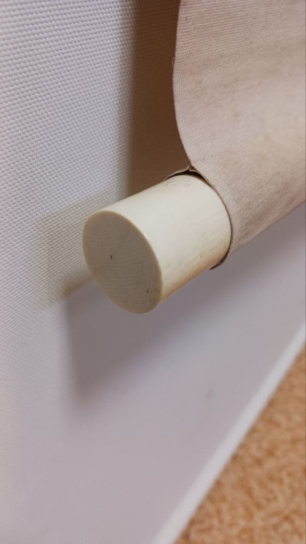 掛軸　肉筆　山本梅逸　梅花ニ鯉之図　絹本着色　箱書きあり　古美術　骨董