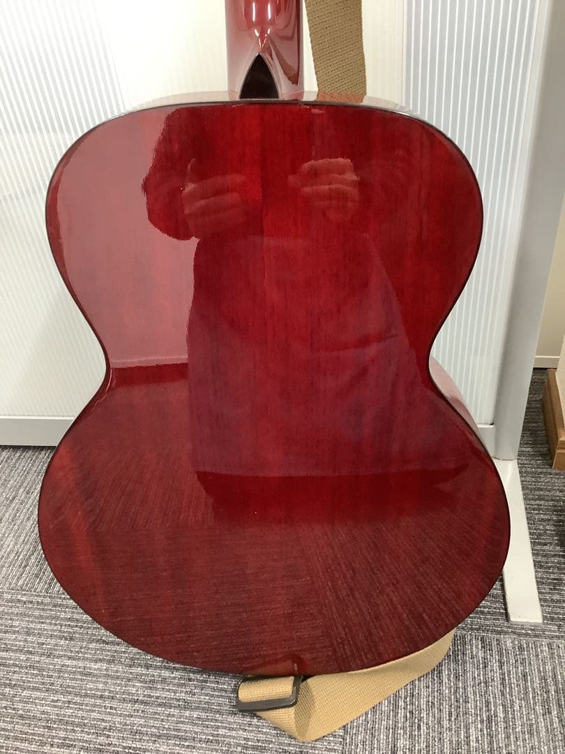 タカミネ T-FOASTR アコースティックギター ケース付き