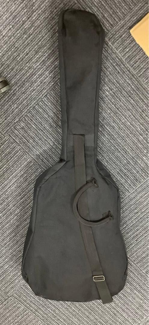 タカミネ T-FOASTR アコースティックギター ケース付き
