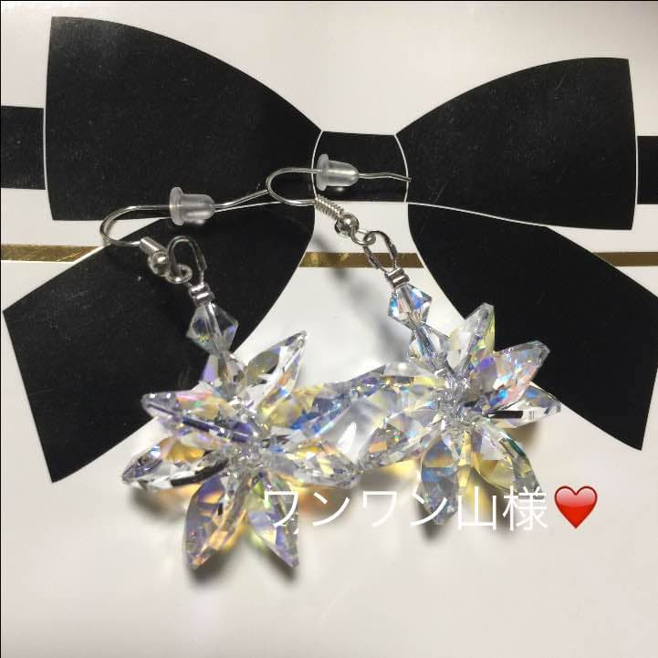 ワンワン山ページ❤️ご確認 スワロフスキー ピアス