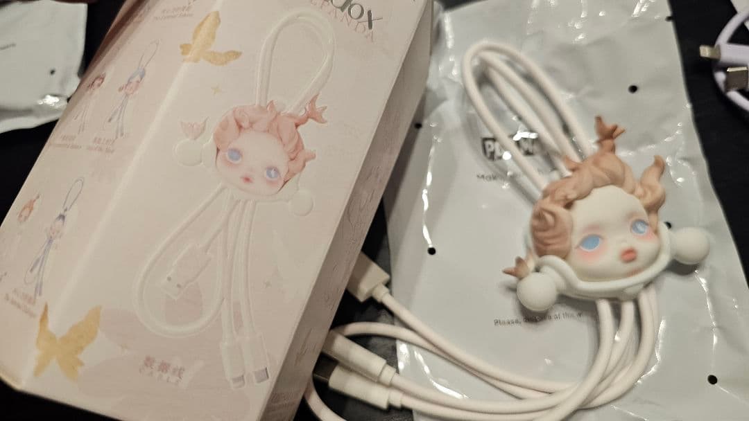 SKULLPANDA The Paradox シリーズ ケーブル　シクレット