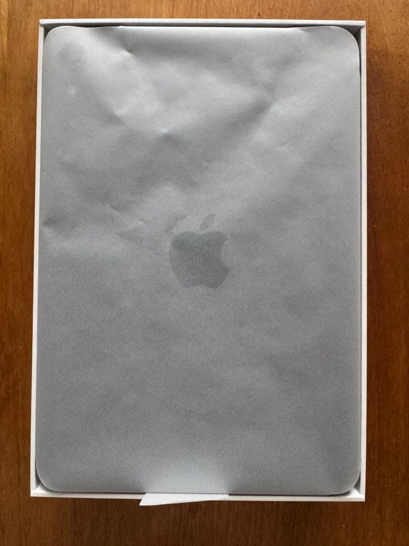 iPad mini6第6世代　256GB＋Apple pencil セット