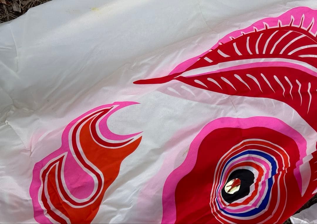 鯉のぼり 5枚セット 五月 子供の日