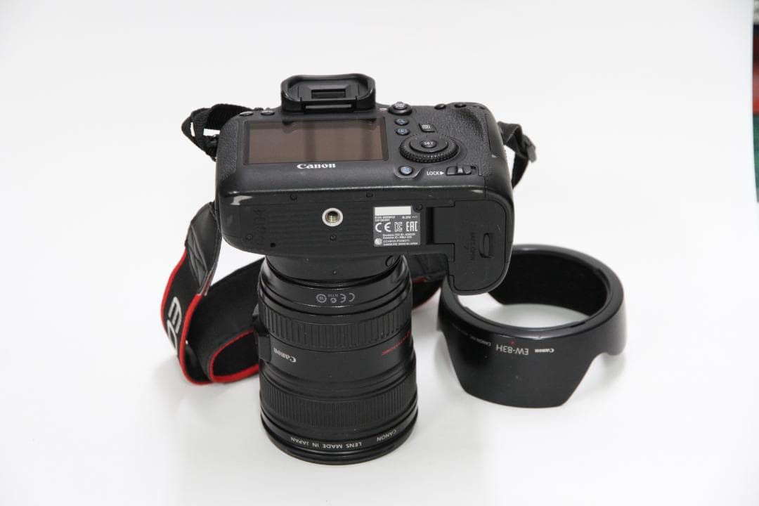 Canon EOS 6DとEF24-105mm　6D-①