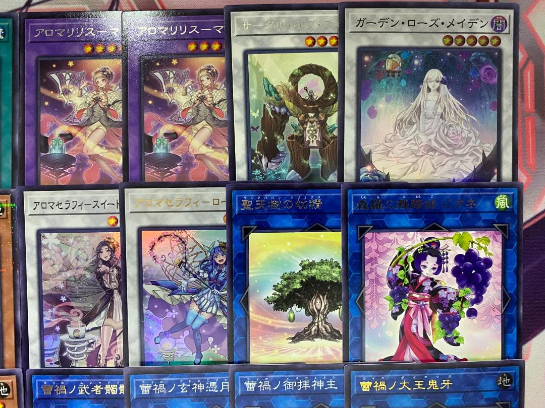 遊戯王　アロマ　蕾禍　ライカ　本格構築済みデッキ