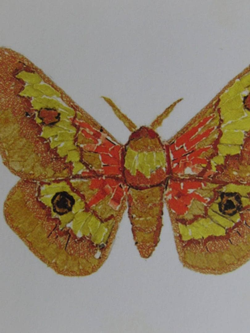 山下清、【蛾】、希少な額装用画集より、美品、日本人画家、新品額装付