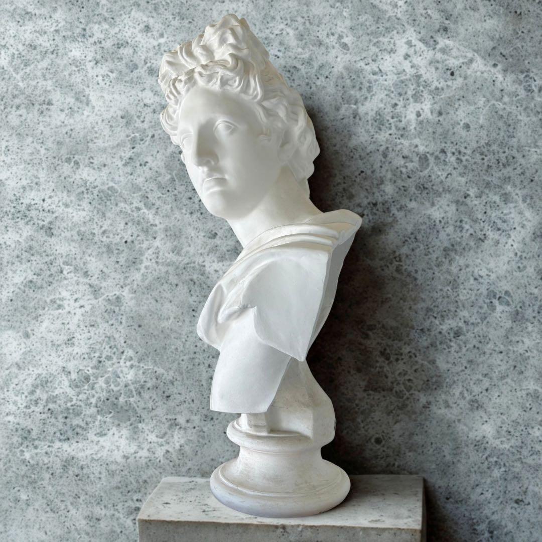 アポロ 石膏像 80cm デッサン 美大受験 大型 状態良好