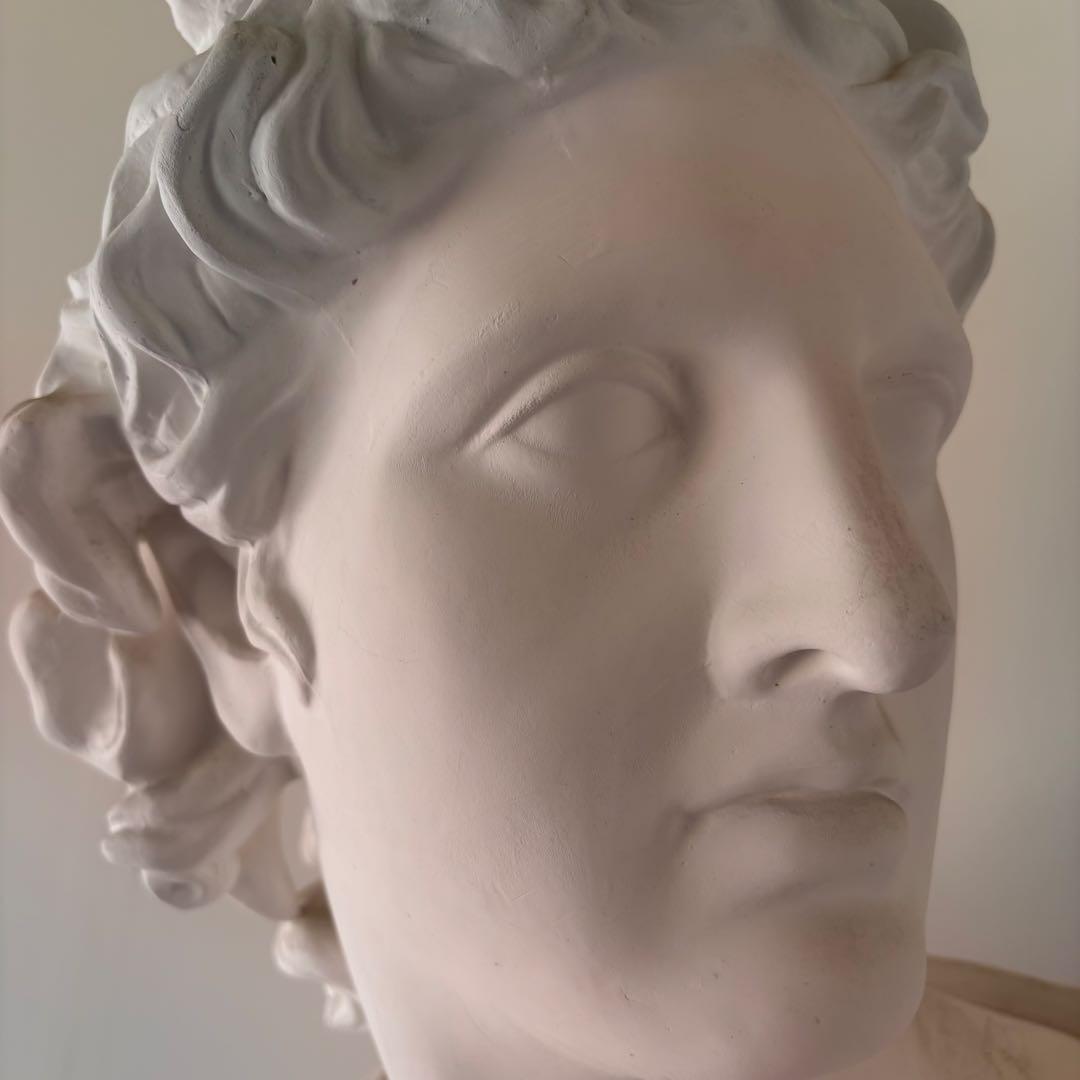 アポロ 石膏像 80cm デッサン 美大受験 大型 状態良好