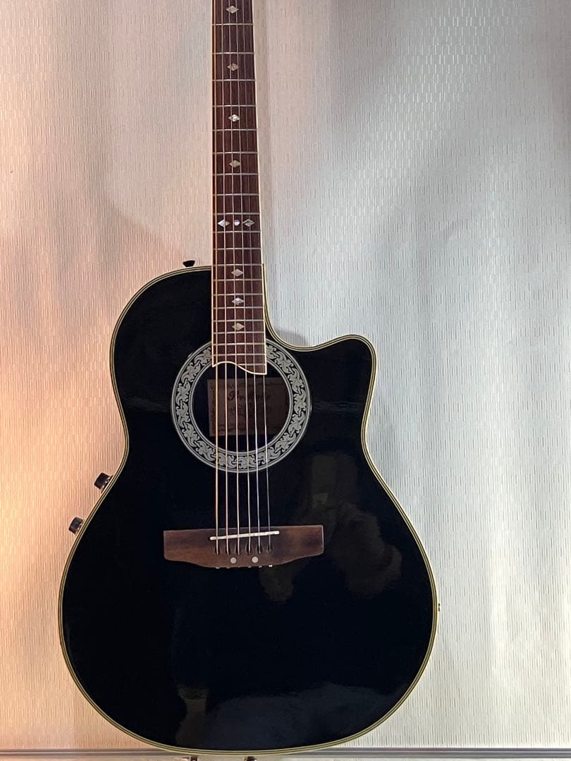 初心者用プロ・マーチン・エレアコ完動品です。