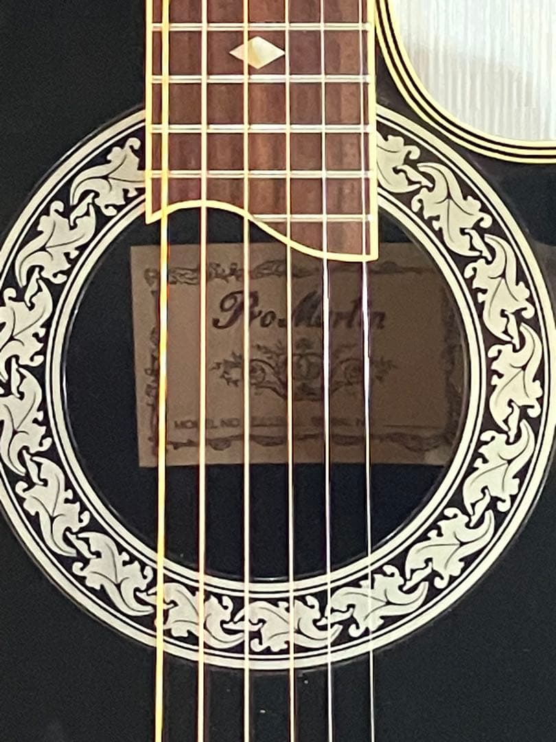 初心者用プロ・マーチン・エレアコ完動品です。