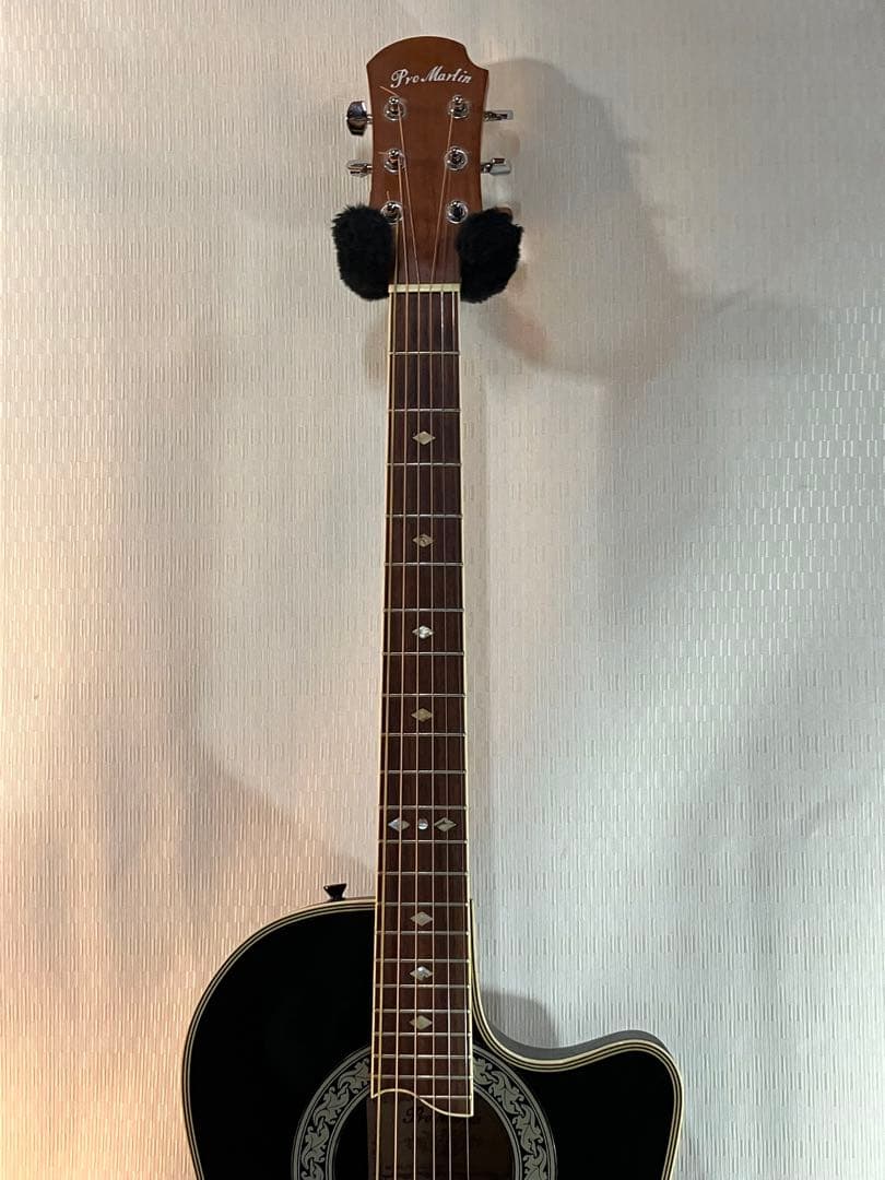 初心者用プロ・マーチン・エレアコ完動品です。