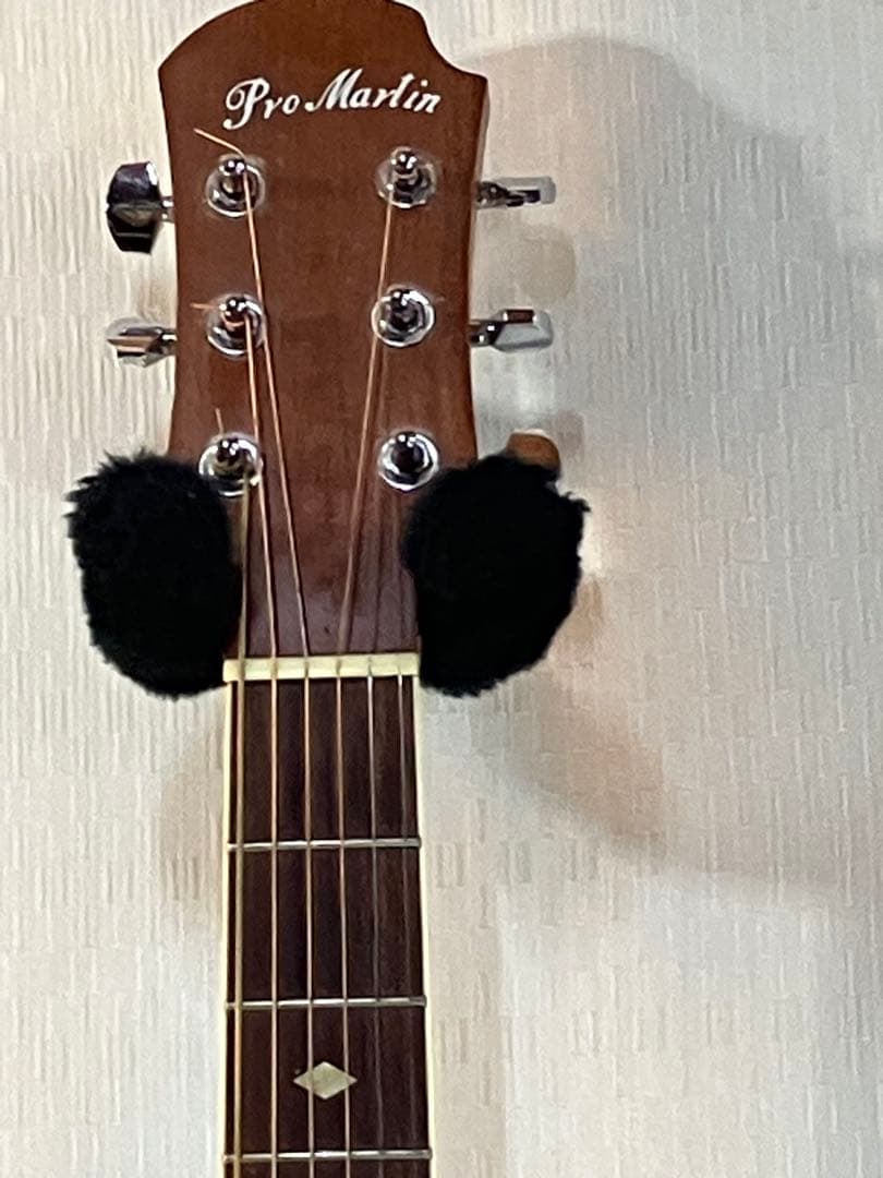 初心者用プロ・マーチン・エレアコ完動品です。