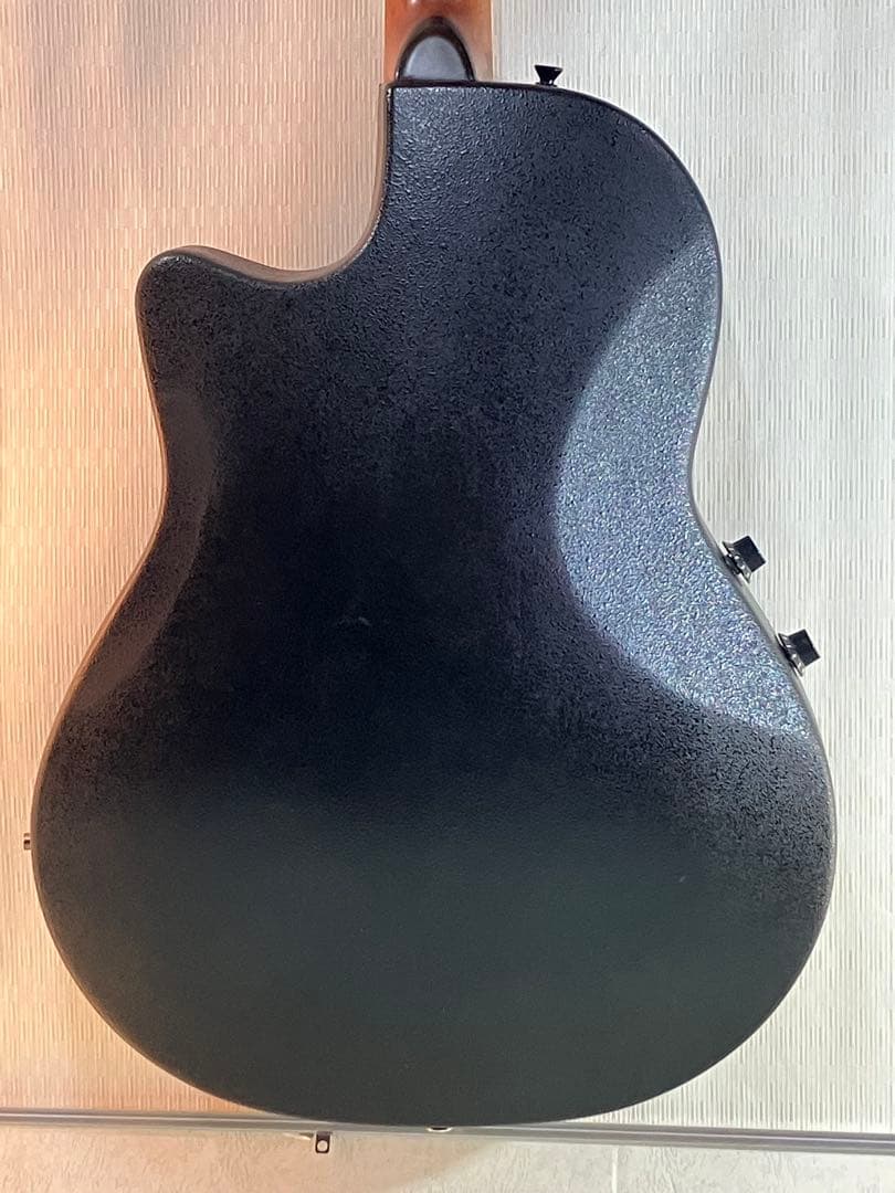 初心者用プロ・マーチン・エレアコ完動品です。