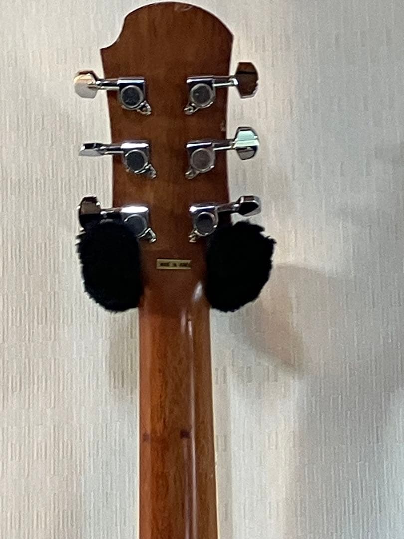 初心者用プロ・マーチン・エレアコ完動品です。