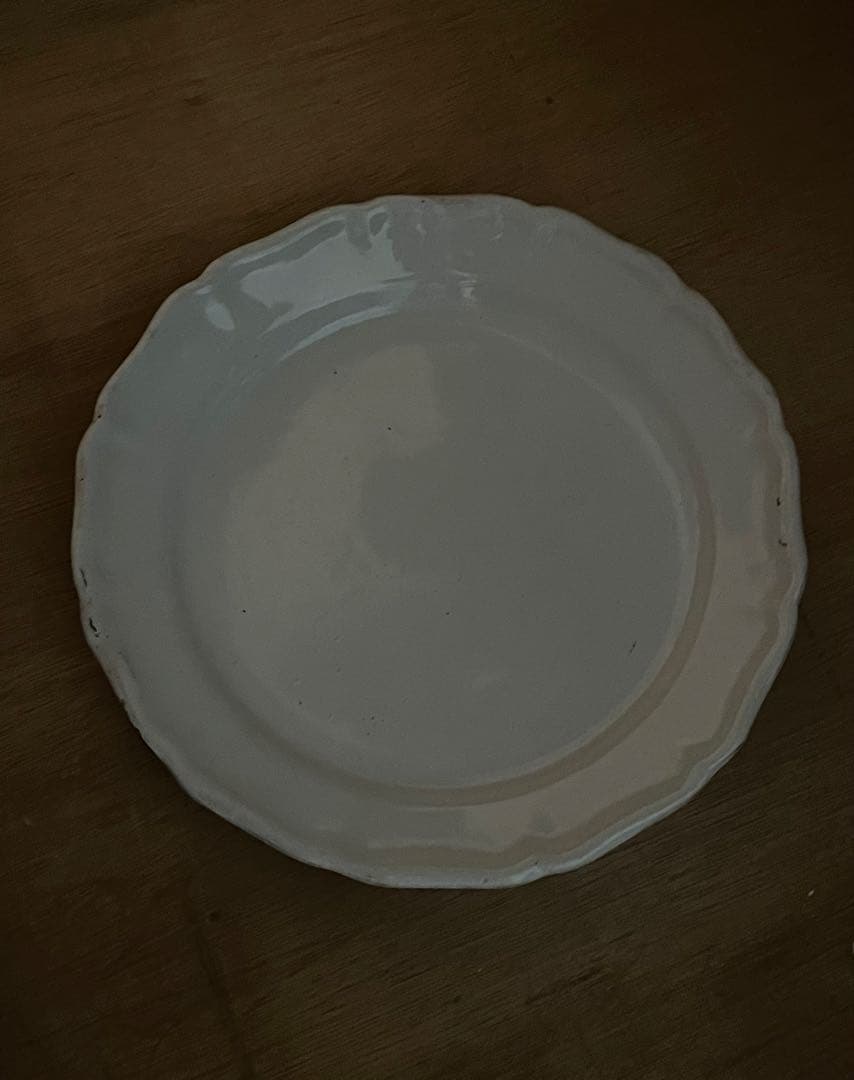 1800年代　キュノワール 花リムプレート　大皿 フランス / アンティーク