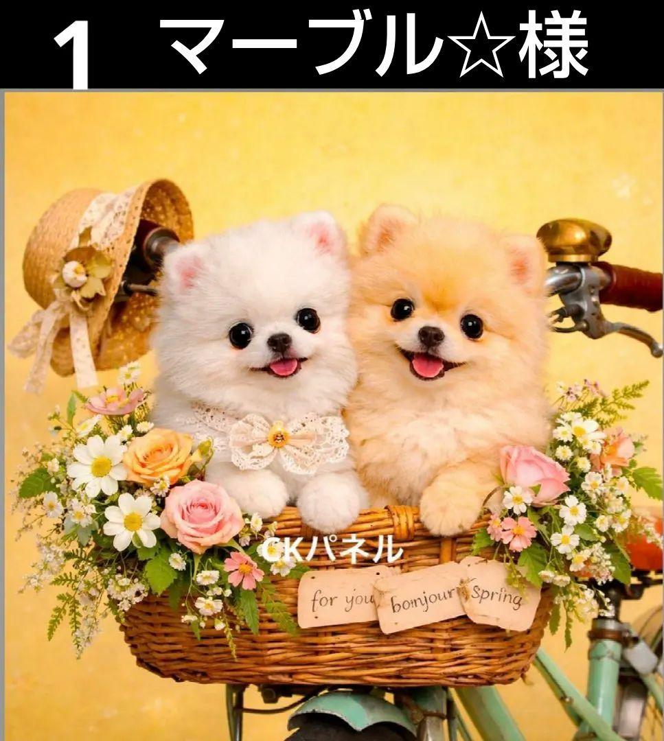 オーダーページ　ハンカチ　367 自転車ワンコ柄　1/19　ハンドメイド