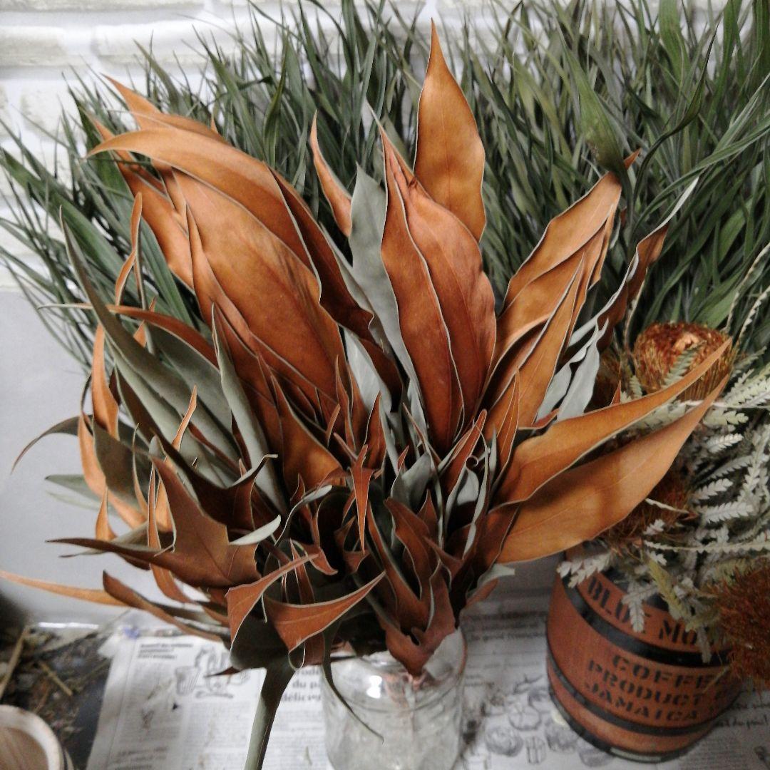 Dried.Artさま専用【065】わけありカラーコーティングのエバーのドライ