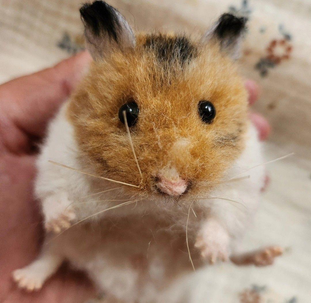 羊毛フェルト　等身大　ゴールデンハムスター　創作人形