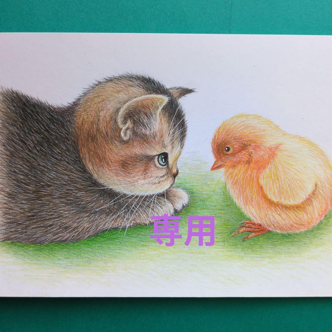 りんママです♪ 色鉛筆画 A5サイズ 子 猫&ヒヨコ ３枚