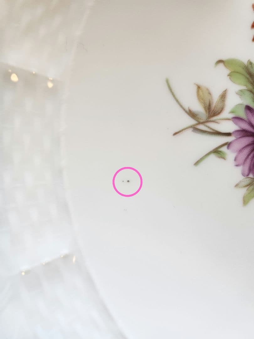 ジノリ サックスフラワー 12枚 丸皿 大皿 セット 27cm 19cm