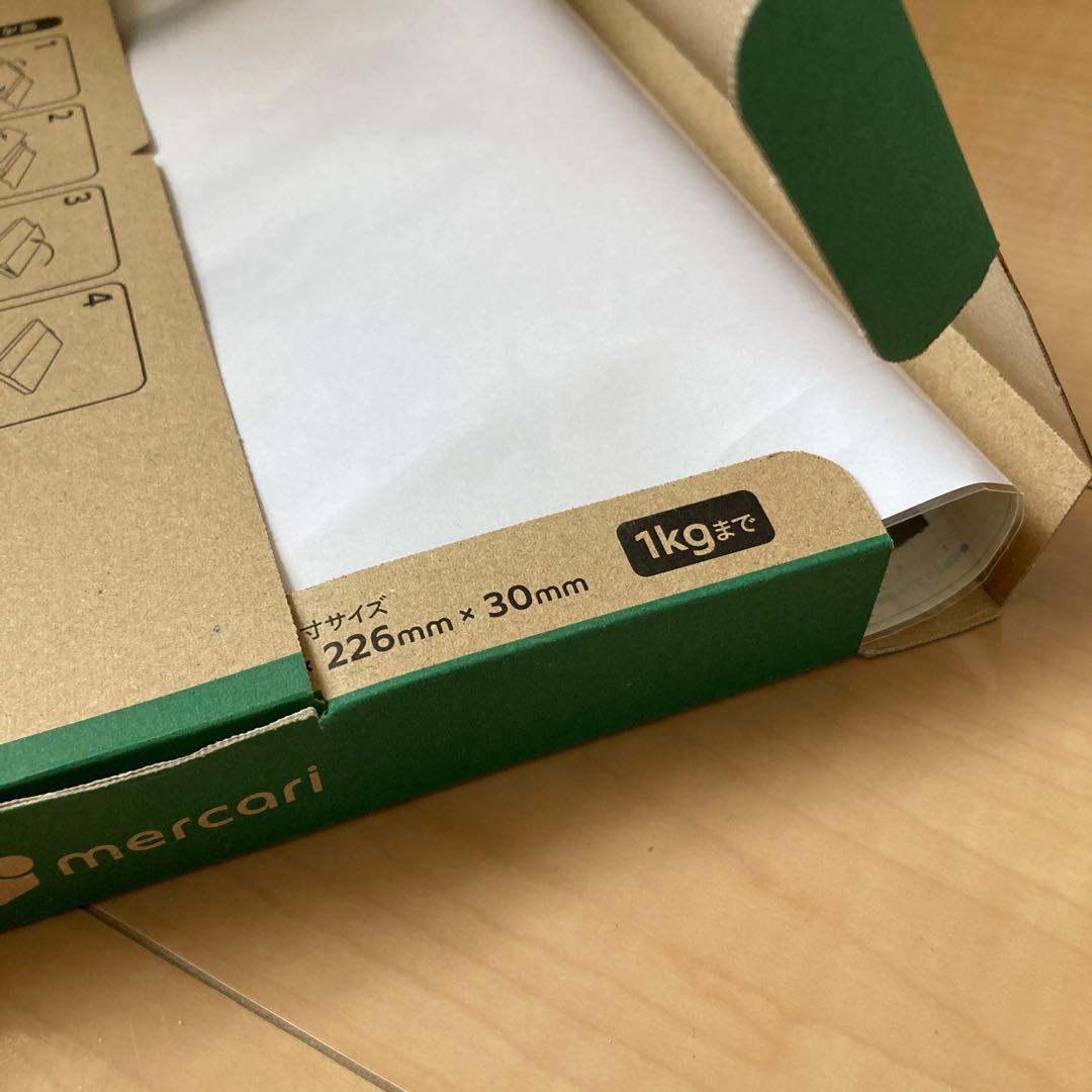 バスタード　ダークシュナイダー　複製原画2枚セット