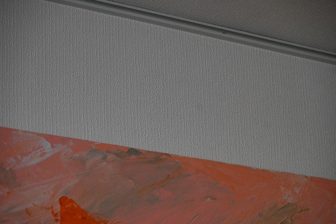 Nikon Z 50 ダブルズームレンズキット