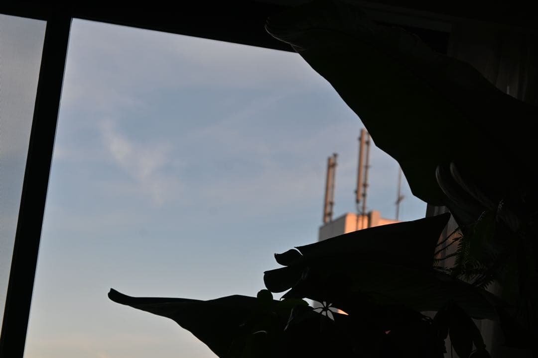 Nikon Z 50 ダブルズームレンズキット