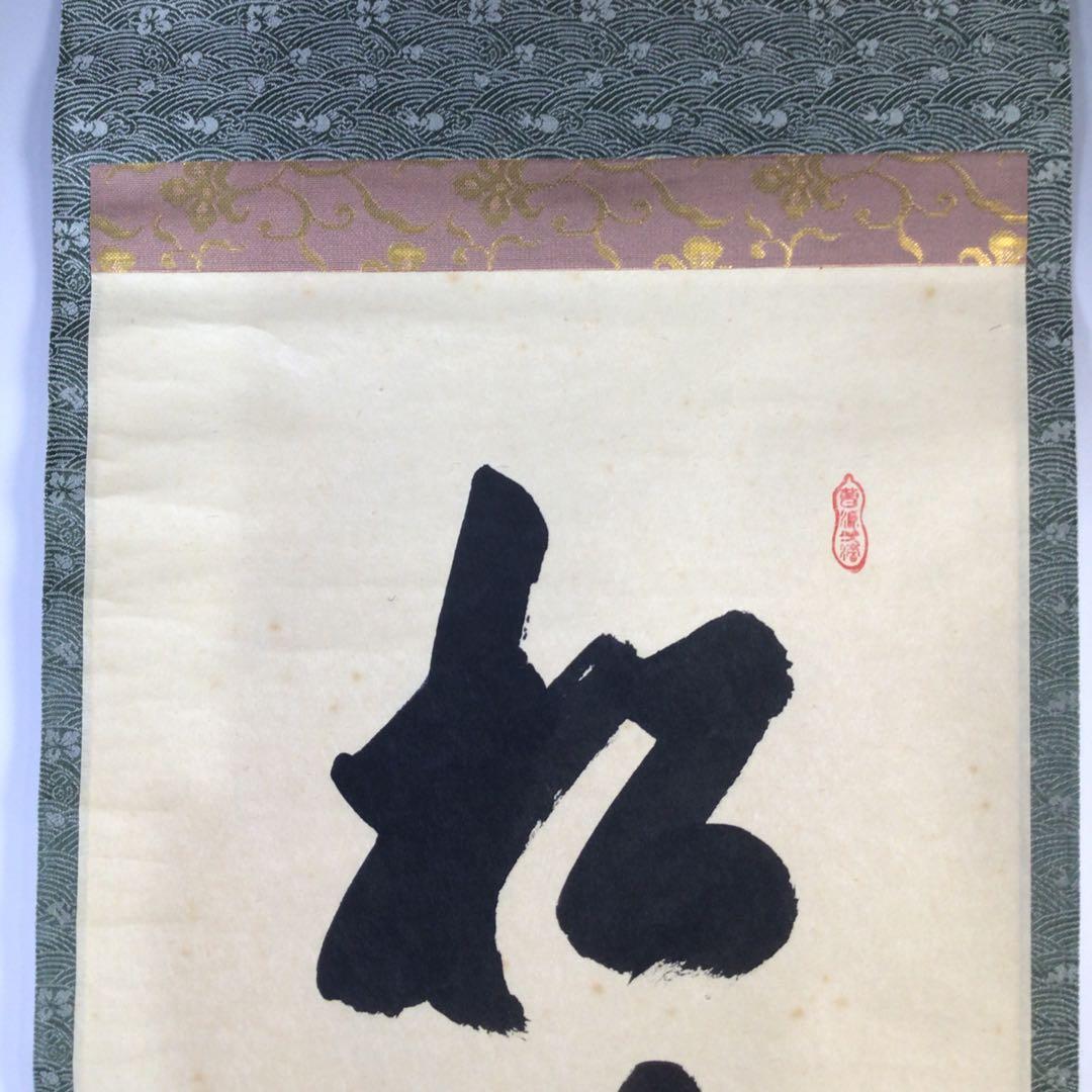 Ｇ３１２　掛軸　大徳寺　大橋香林　『松無古今色』　共箱　『真作』　肉筆　一行書