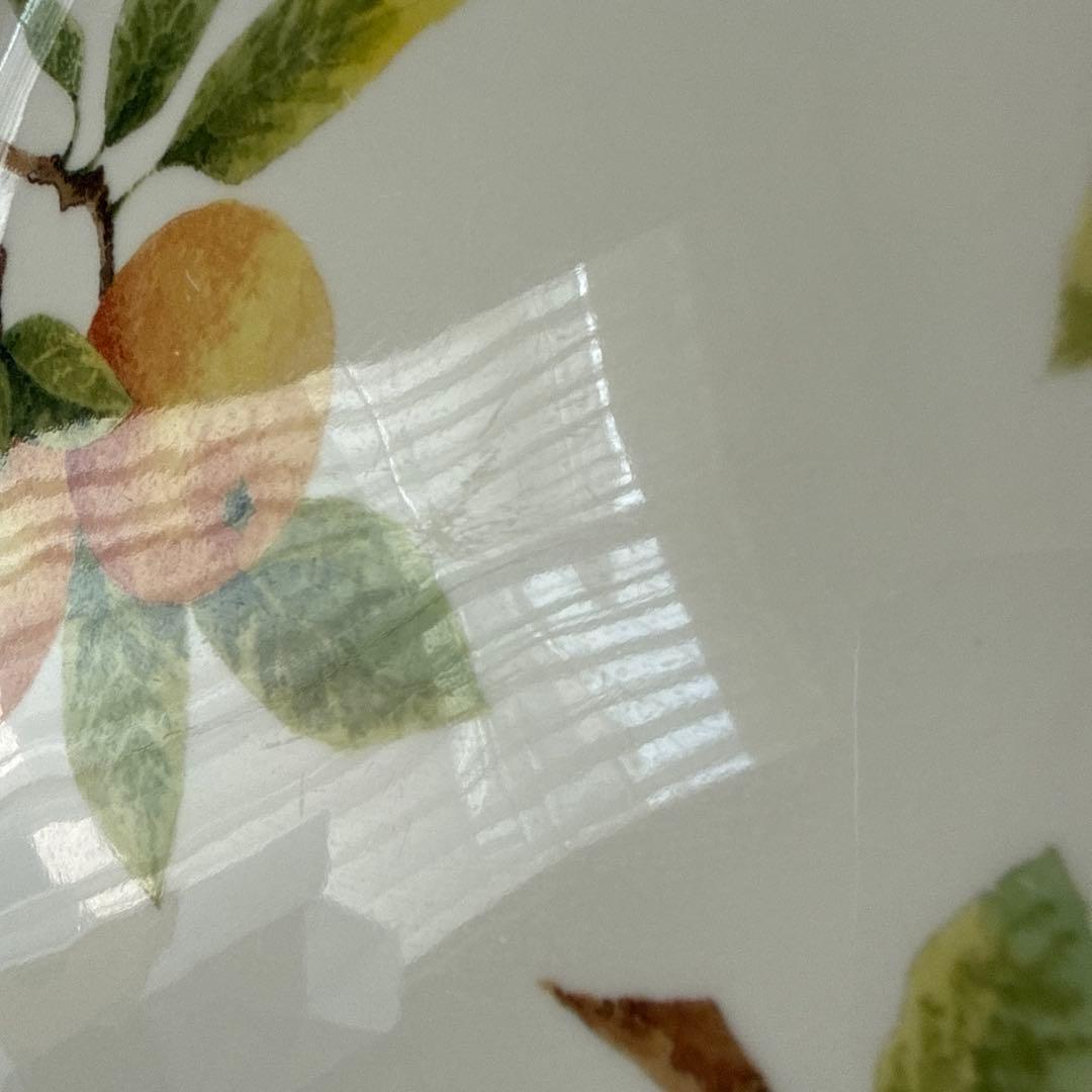   CITRUS GROVE 6枚セット 約27cm