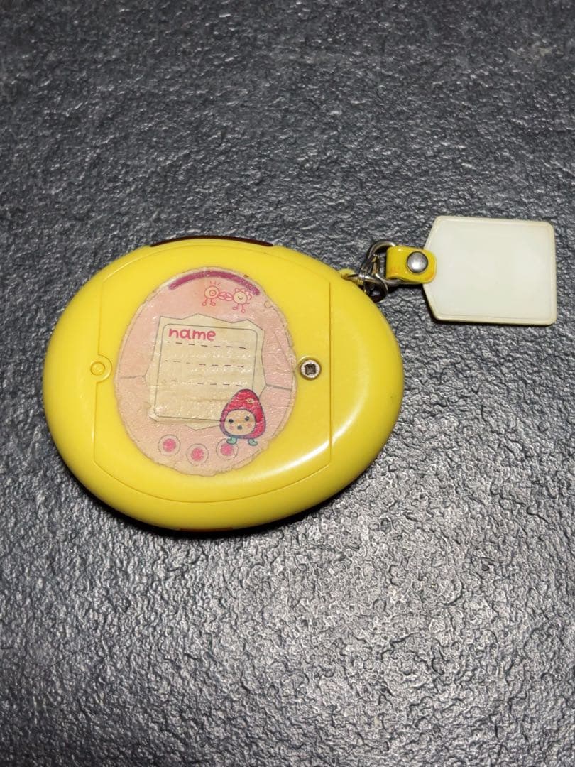 たまごっち スクール せーとぜーいんしゅーごっち！ 2じかんめ 小学館雑誌 懸賞