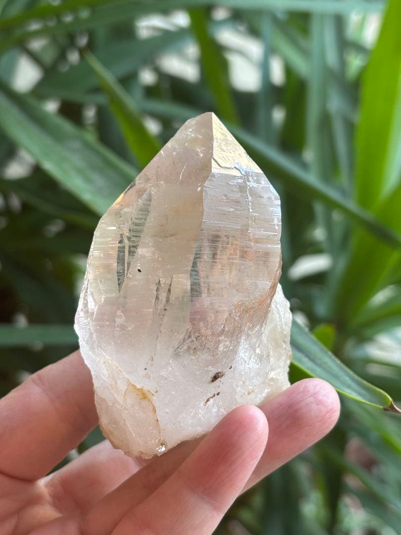 パキスタン　ハシュピ産　ヒマラヤクォーツポイント　ヒマラヤ水晶268g