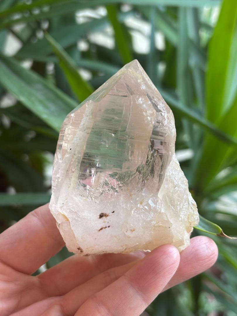 パキスタン　ハシュピ産　ヒマラヤクォーツポイント　ヒマラヤ水晶268g