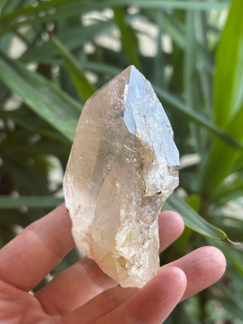 パキスタン　ハシュピ産　ヒマラヤクォーツポイント　ヒマラヤ水晶268g