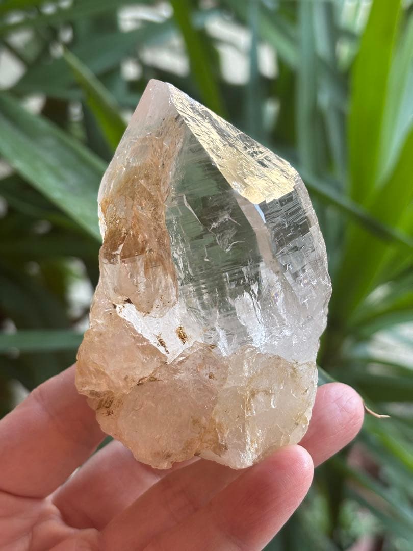 パキスタン　ハシュピ産　ヒマラヤクォーツポイント　ヒマラヤ水晶268g