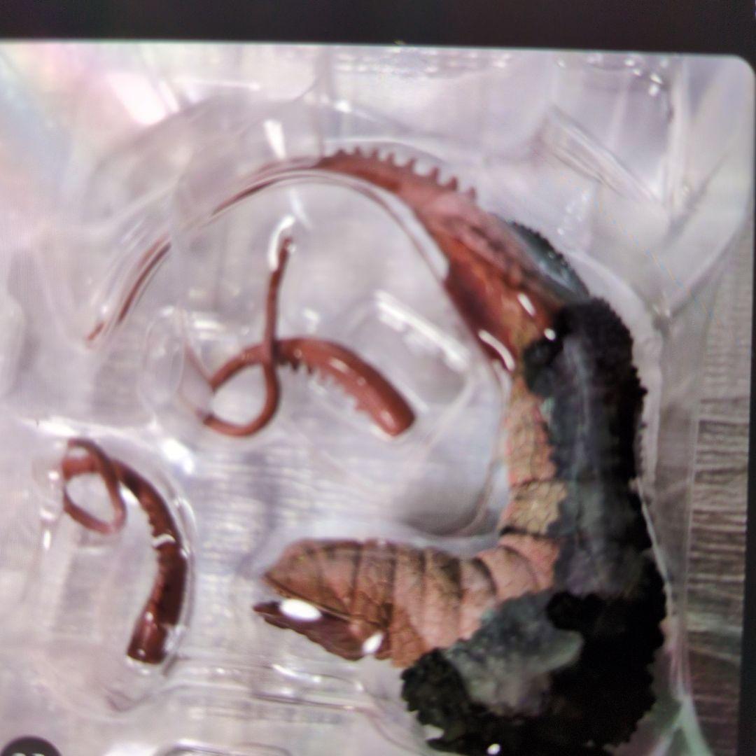 SHフィギュアアーツ。ツインテール。