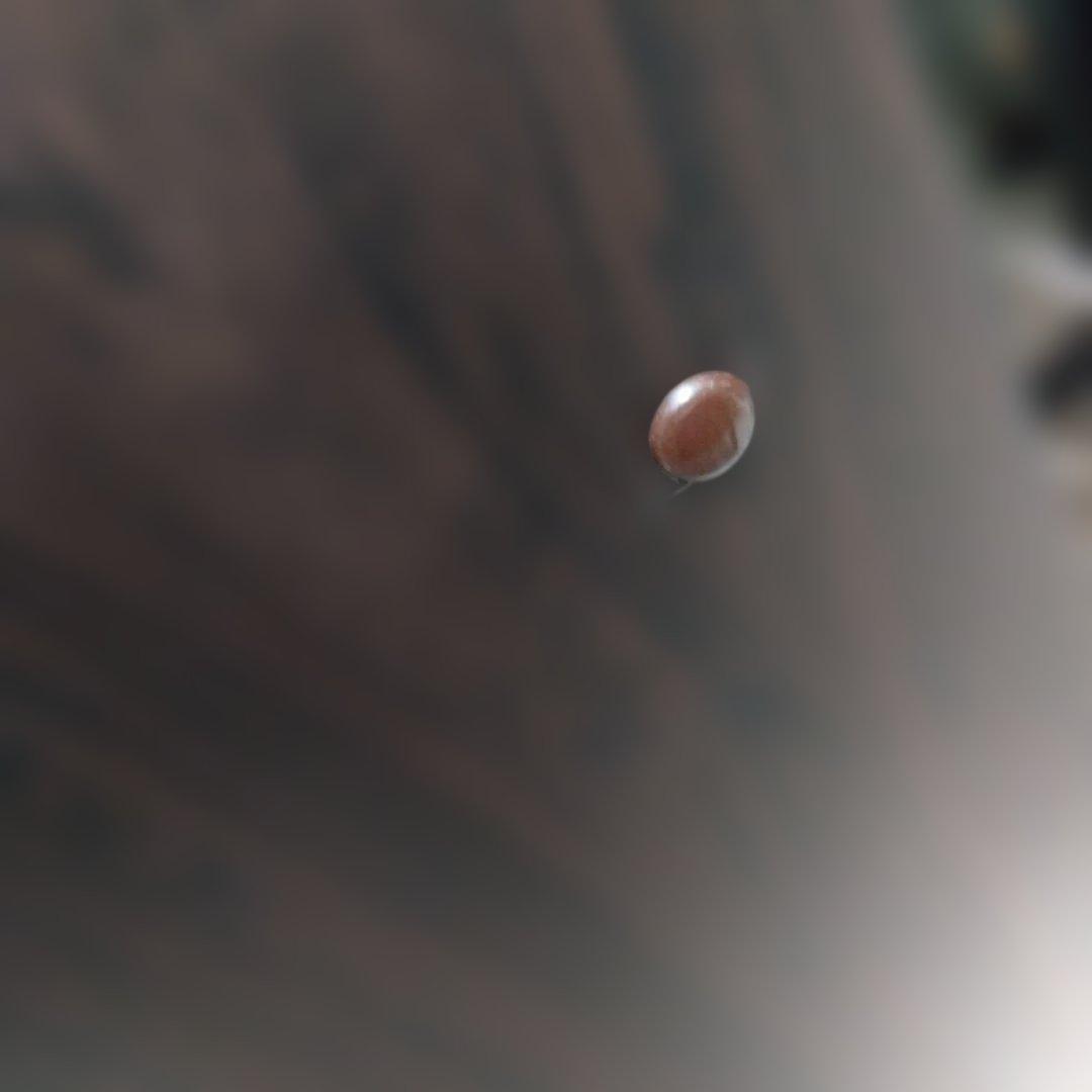 【関東配送相談可能】LP-380RW KORG