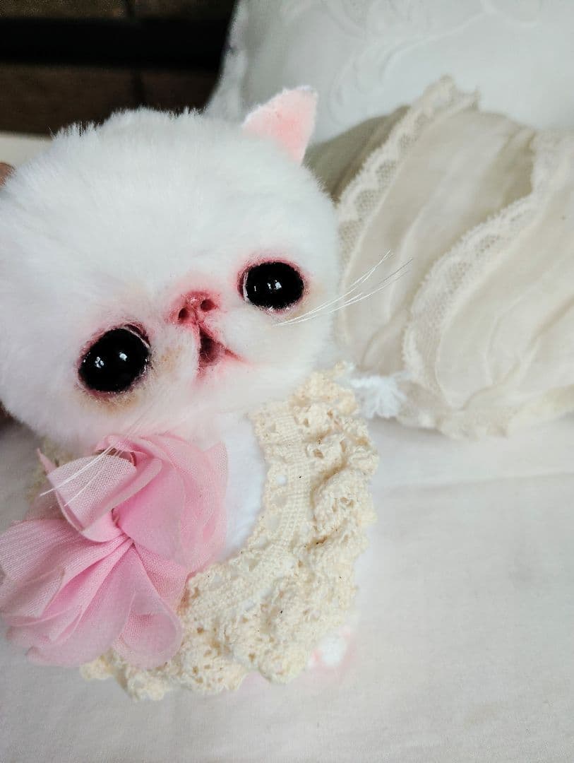 まるまるオメメ♡エキゾチック子猫ちゃん♡アートドール♡ぬいぐるみ♡