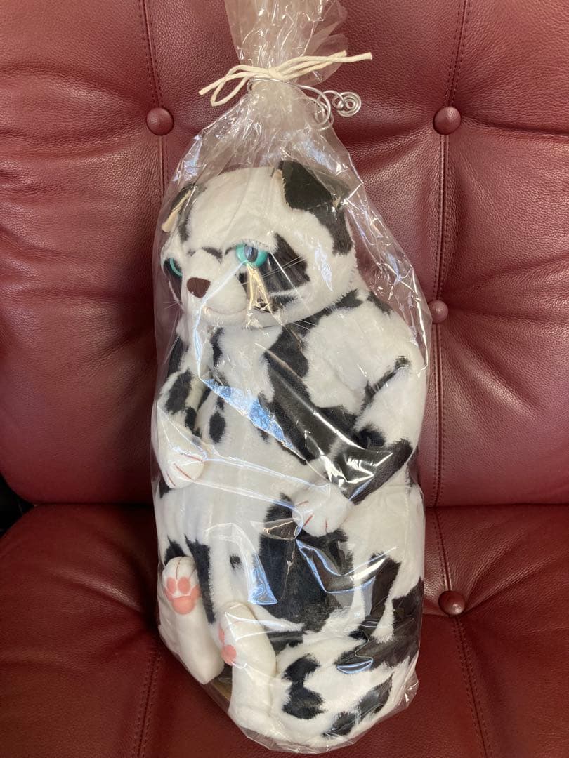 cuddlyカドリー 猫 ぬいぐるみ【バジル】