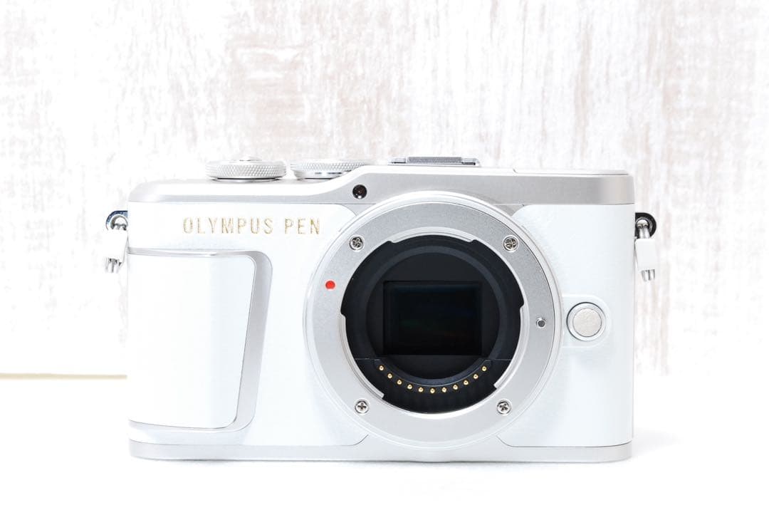 ❤️超美品❤️ショット数僅か❤️ OLYMPUS PEN E-PL9 ダブルレンズ