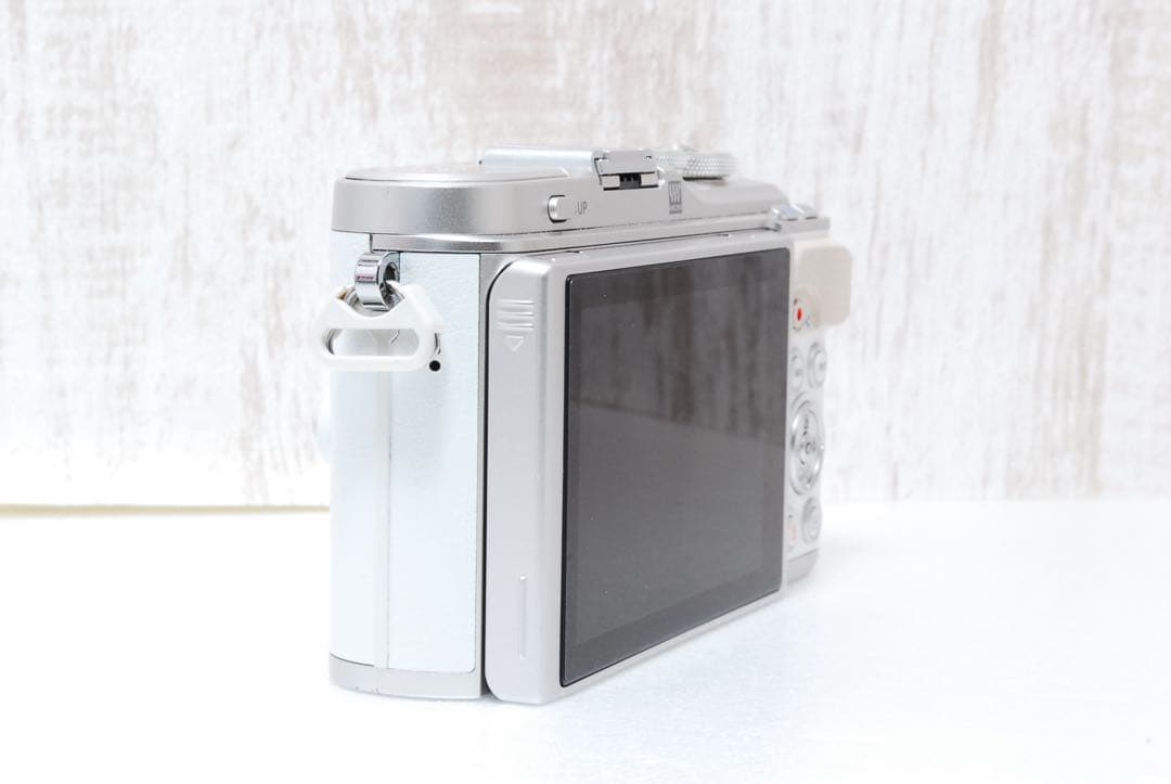 ❤️超美品❤️ショット数僅か❤️ OLYMPUS PEN E-PL9 ダブルレンズ
