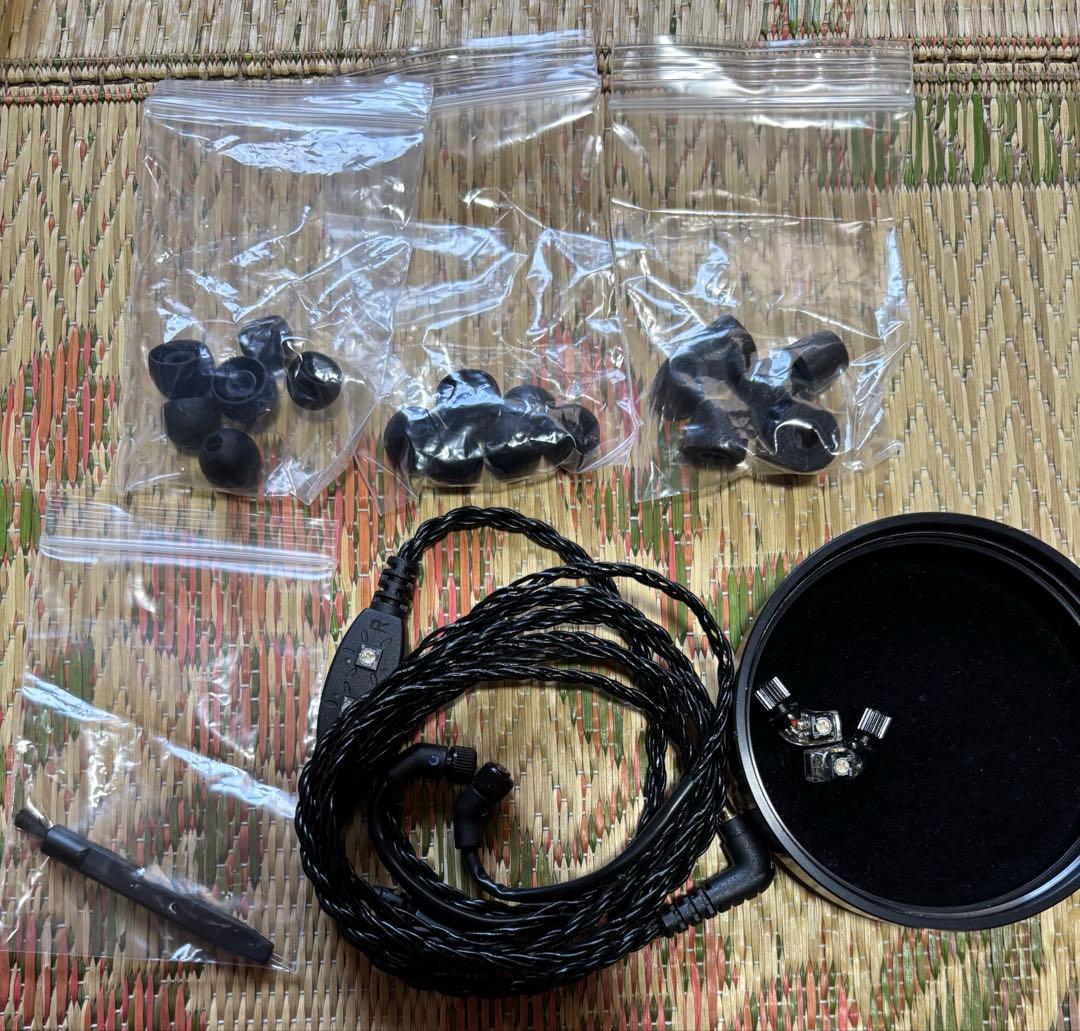 最終値下げ JH AUDIO Roxanne Universal Fit