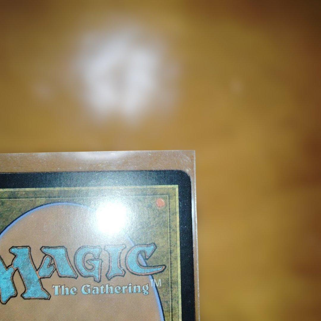 FOIL すべてを護るもの、母聖樹 MTG