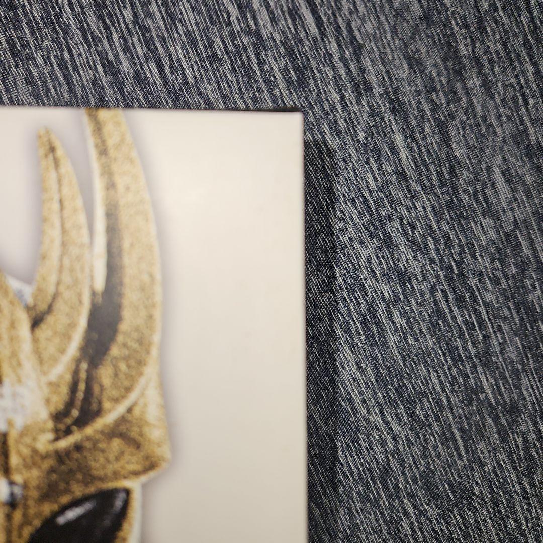 真骨頂　仮面ライダークウガアルティメットフォーム&　ン・ダグバ・ゼバ　セット