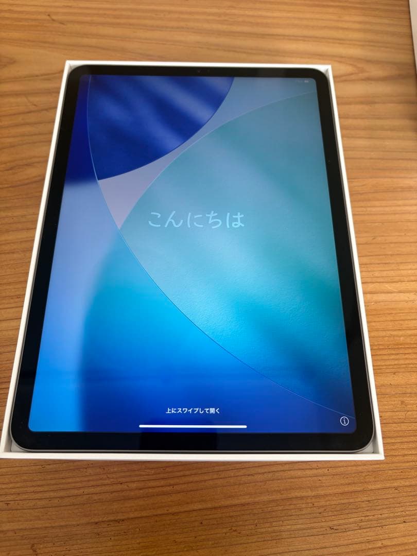 Apple iPad Pro (モデルA2228) スペースグレー 本体 美品