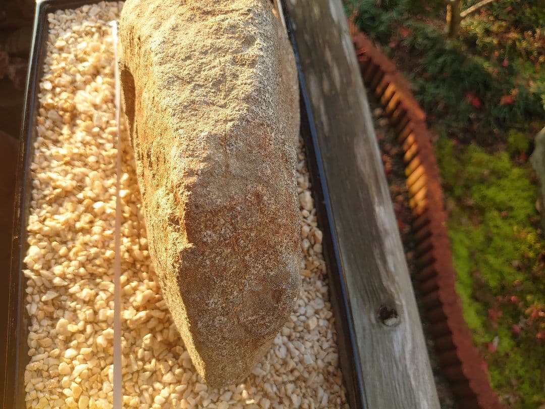 本鞍馬石 鞍馬石 京都 7500ｇ 水石 鑑賞石 加茂七石