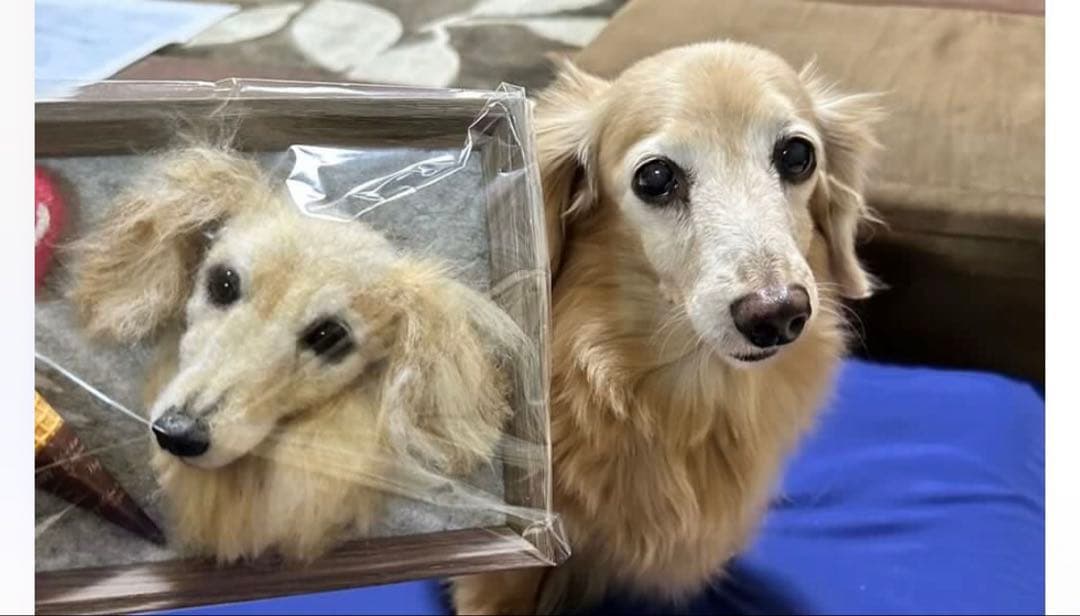 わんこ限定　わたわたペット　うちの子プレート　羊毛フェルト作品